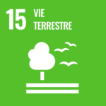 Vie terrestre - ONU